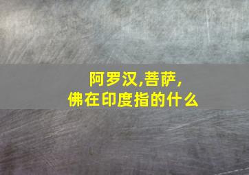 阿罗汉,菩萨,佛在印度指的什么