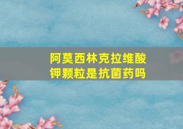 阿莫西林克拉维酸钾颗粒是抗菌药吗