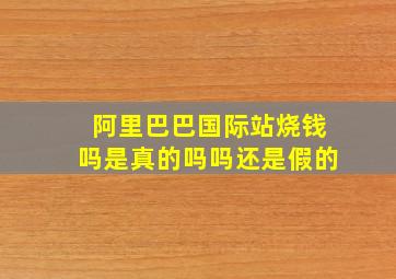 阿里巴巴国际站烧钱吗是真的吗吗还是假的