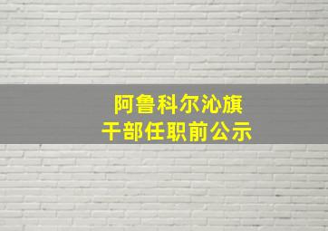 阿鲁科尔沁旗干部任职前公示