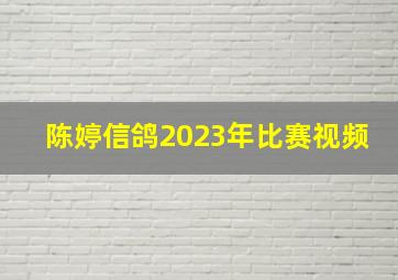 陈婷信鸽2023年比赛视频