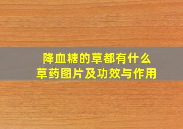 降血糖的草都有什么草药图片及功效与作用