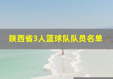 陕西省3人篮球队队员名单