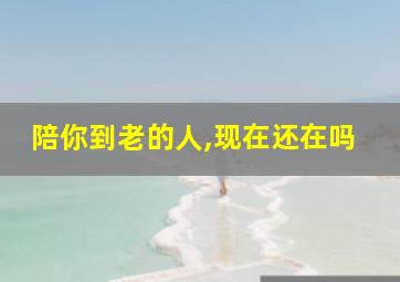 陪你到老的人,现在还在吗