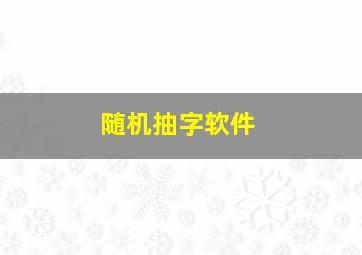 随机抽字软件