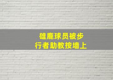 雄鹿球员被步行者助教按墙上