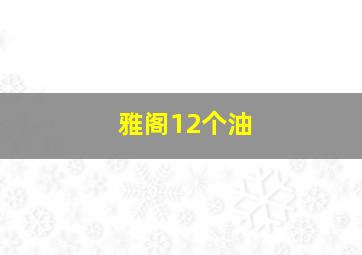 雅阁12个油