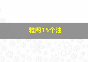 雅阁15个油