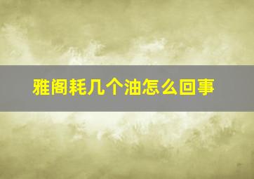 雅阁耗几个油怎么回事