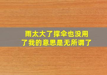 雨太大了撑伞也没用了我的意思是无所谓了