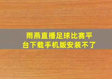 雨燕直播足球比赛平台下载手机版安装不了