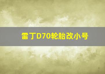 雷丁D70轮胎改小号