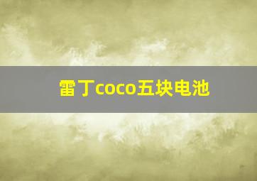 雷丁coco五块电池