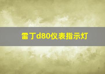 雷丁d80仪表指示灯