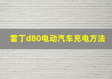 雷丁d80电动汽车充电方法