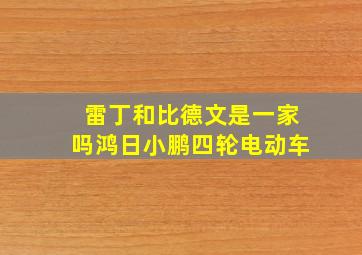 雷丁和比德文是一家吗鸿日小鹏四轮电动车