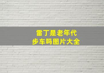 雷丁是老年代步车吗图片大全