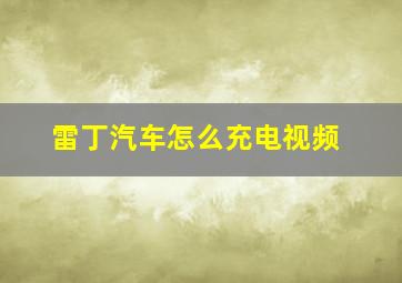 雷丁汽车怎么充电视频