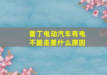 雷丁电动汽车有电不能走是什么原因