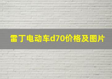 雷丁电动车d70价格及图片