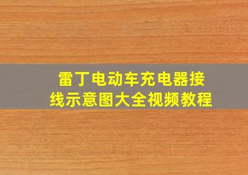 雷丁电动车充电器接线示意图大全视频教程