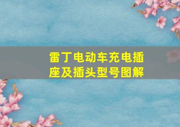 雷丁电动车充电插座及插头型号图解