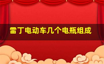 雷丁电动车几个电瓶组成