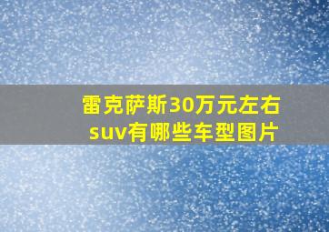 雷克萨斯30万元左右suv有哪些车型图片