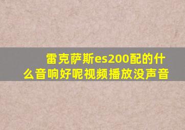 雷克萨斯es200配的什么音响好呢视频播放没声音