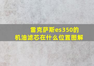 雷克萨斯es350的机油滤芯在什么位置图解