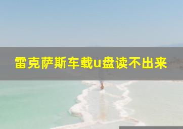 雷克萨斯车载u盘读不出来