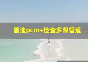 雷迪pcm+检查多深管道