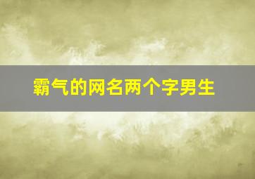 霸气的网名两个字男生