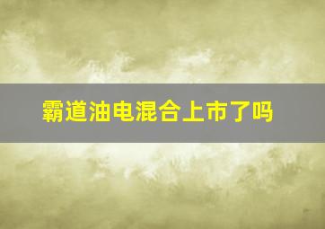 霸道油电混合上市了吗