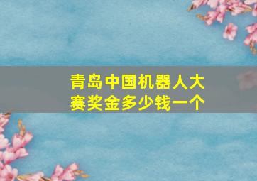 青岛中国机器人大赛奖金多少钱一个