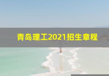 青岛理工2021招生章程