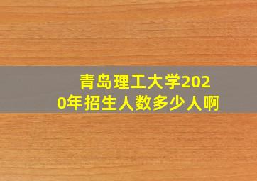 青岛理工大学2020年招生人数多少人啊