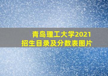 青岛理工大学2021招生目录及分数表图片