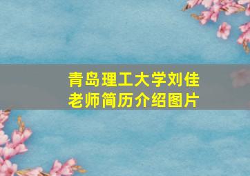 青岛理工大学刘佳老师简历介绍图片