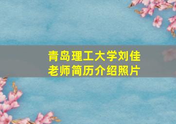 青岛理工大学刘佳老师简历介绍照片