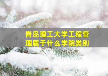 青岛理工大学工程管理属于什么学院类别