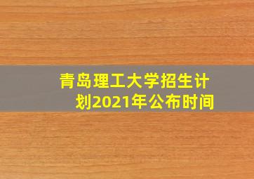 青岛理工大学招生计划2021年公布时间