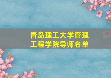 青岛理工大学管理工程学院导师名单