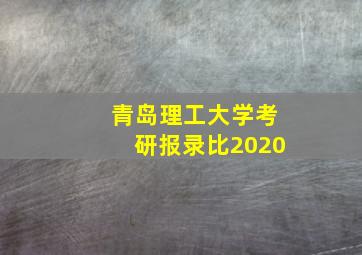 青岛理工大学考研报录比2020