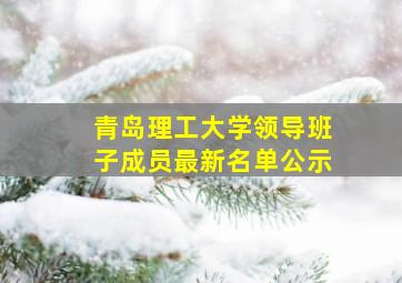 青岛理工大学领导班子成员最新名单公示