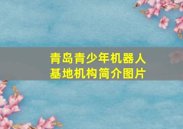 青岛青少年机器人基地机构简介图片