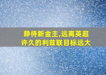 静待新金主,远离英超许久的利兹联目标远大