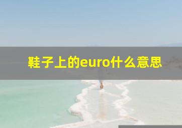 鞋子上的euro什么意思