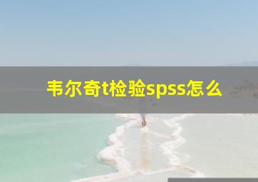 韦尔奇t检验spss怎么