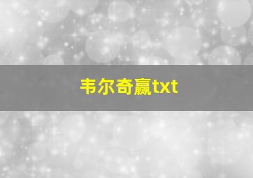 韦尔奇赢txt